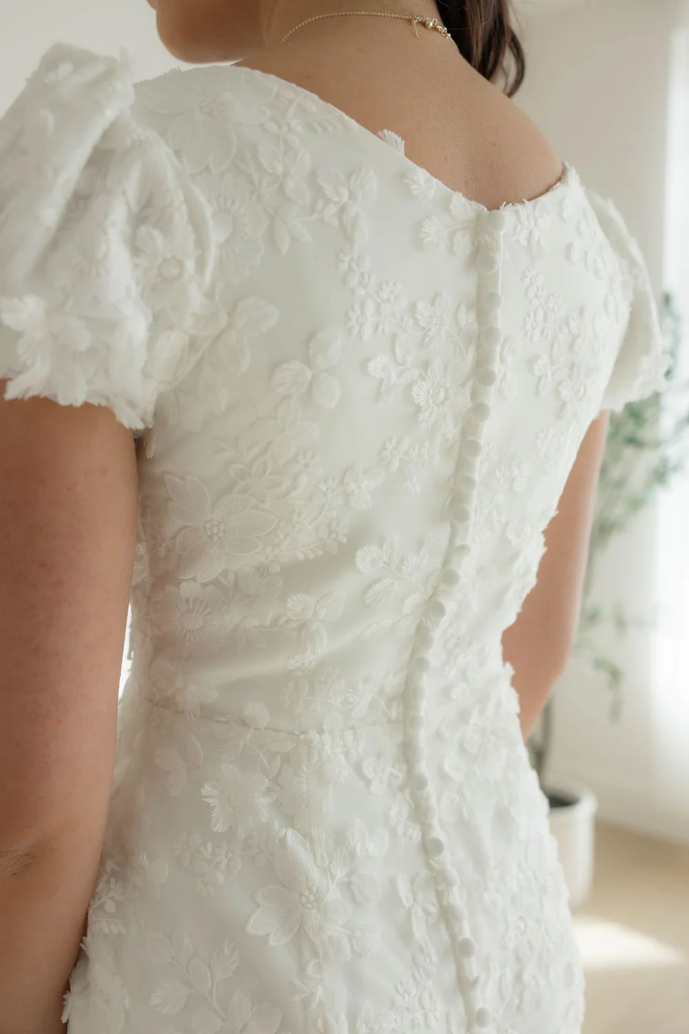 Ivy - Image 4