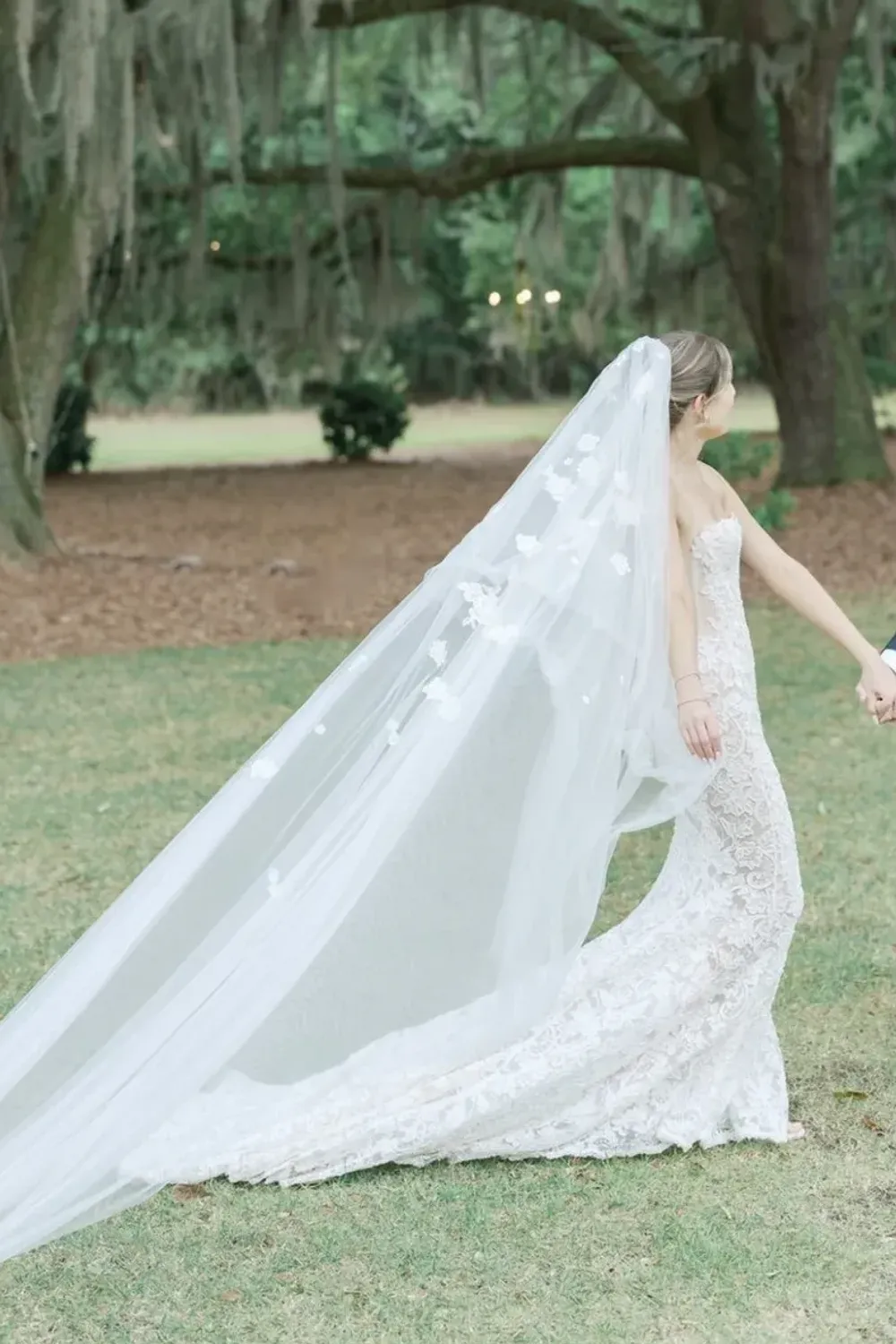 Jazz S/S 2025 with Veil - Image 2