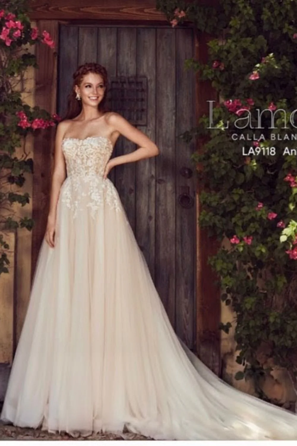 LA9118 Anika