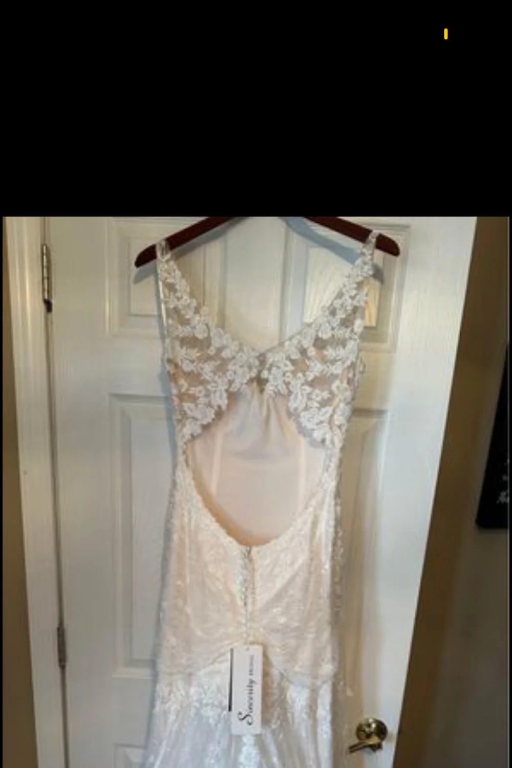 Lacy - Image 3