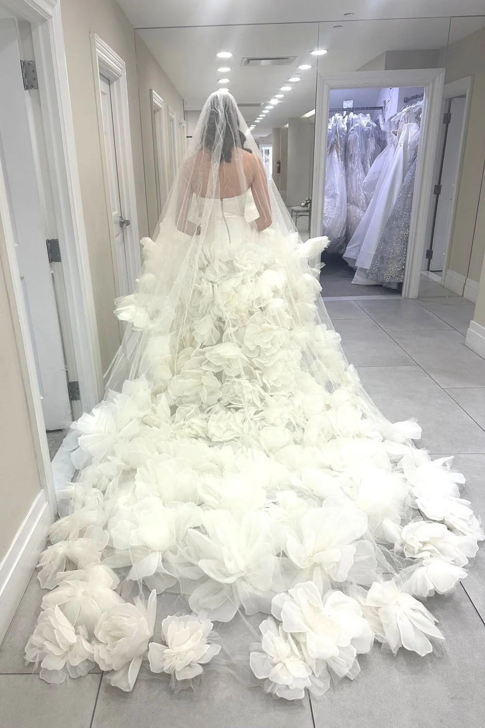 NF047 with Veil - Image 2