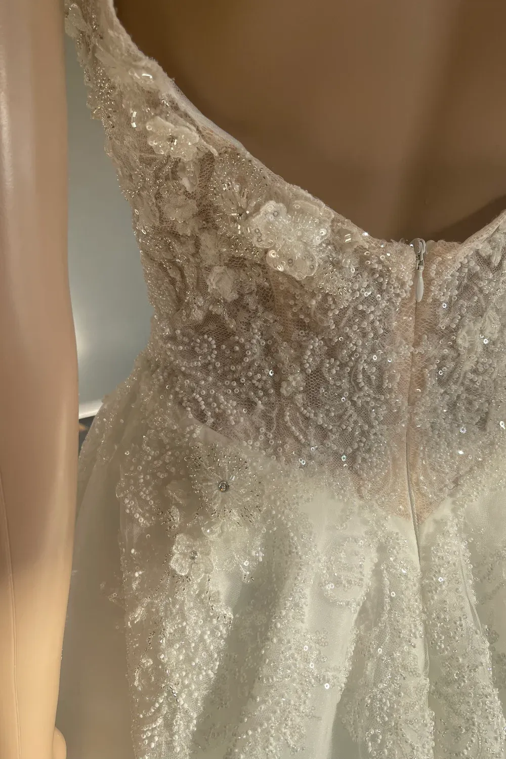 OFELIA - Image 11