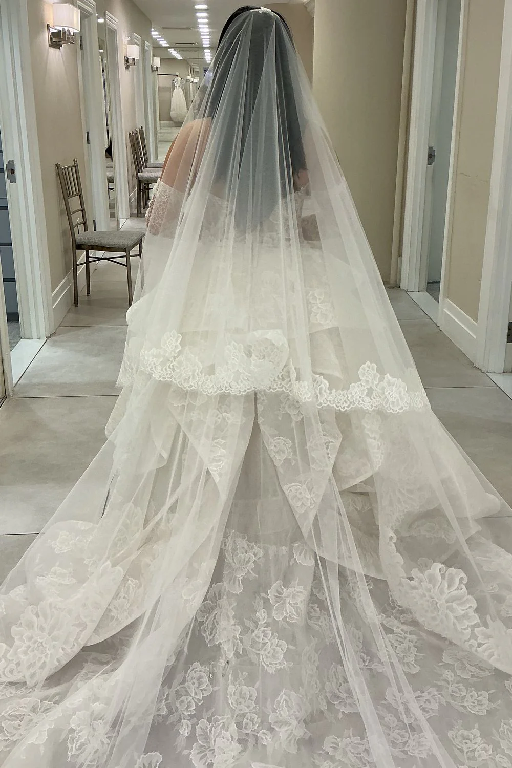 Papillion with Veil and Gloves - Image 12