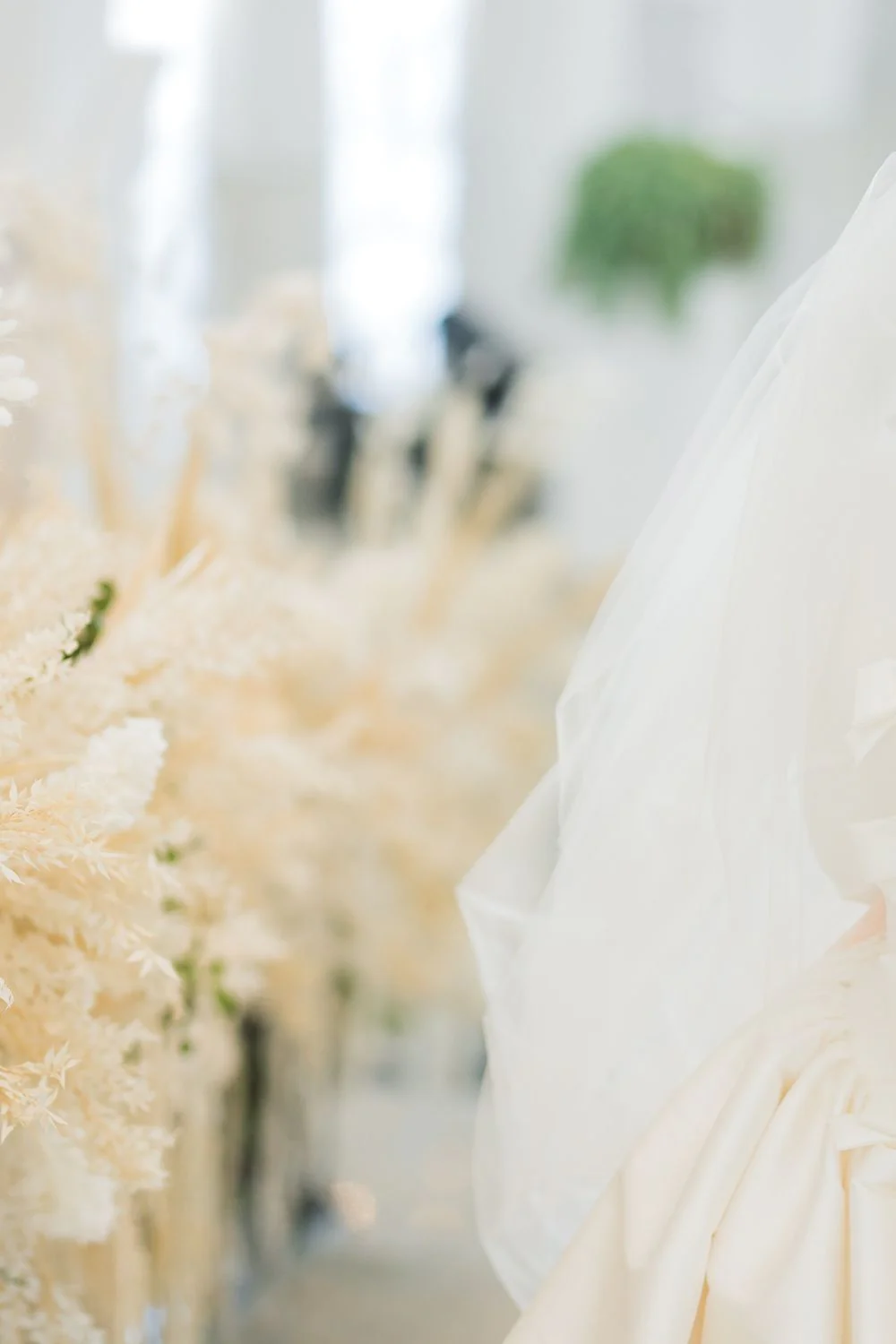 Park View with Veil - Image 7