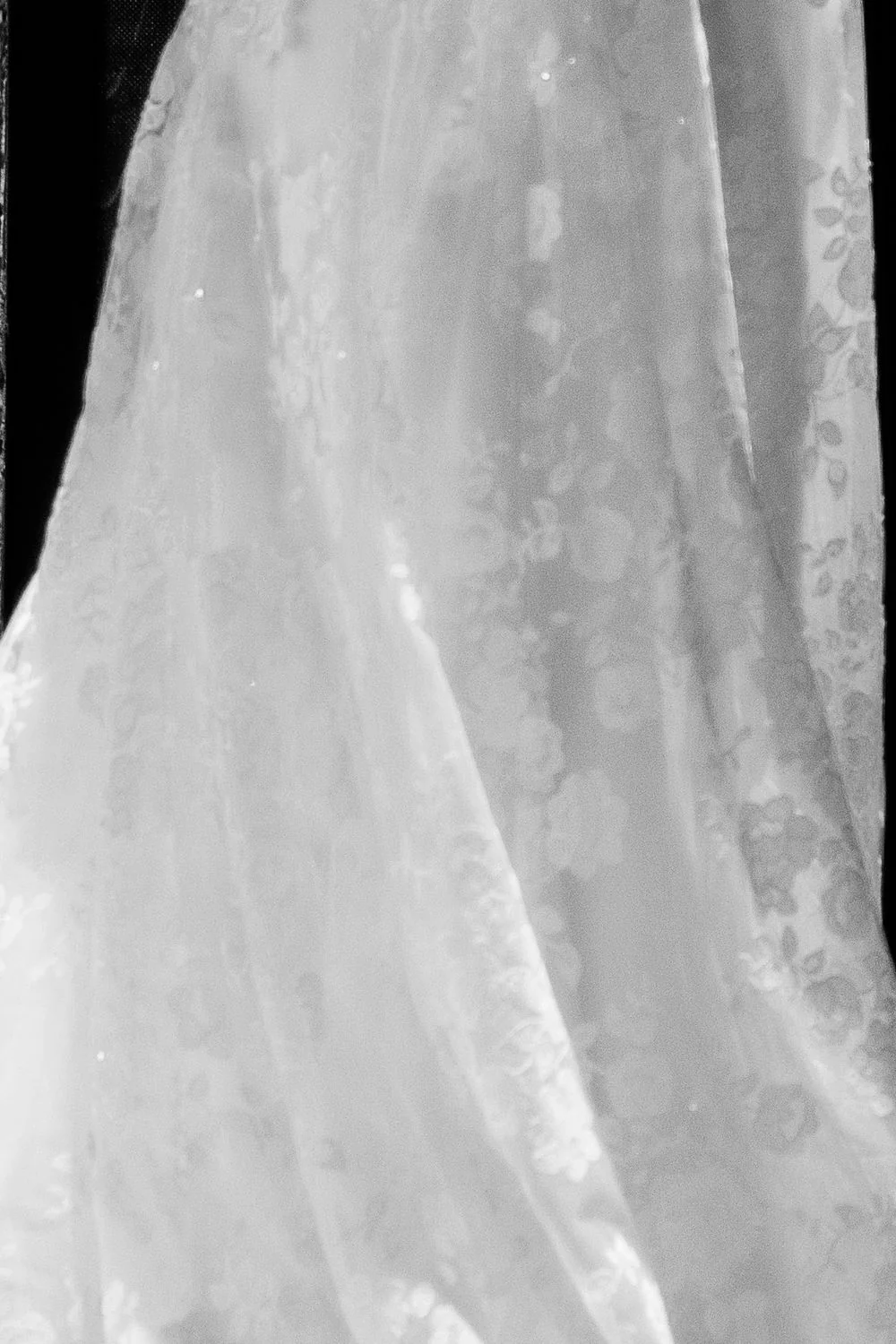 Paulette - Image 6