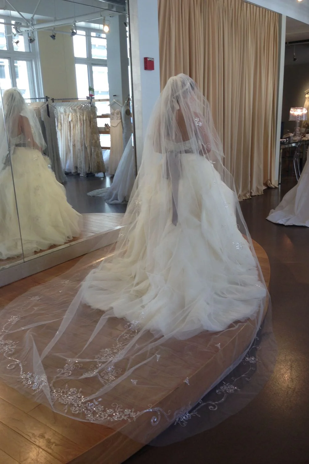 Princess Ball Gown - Image 2