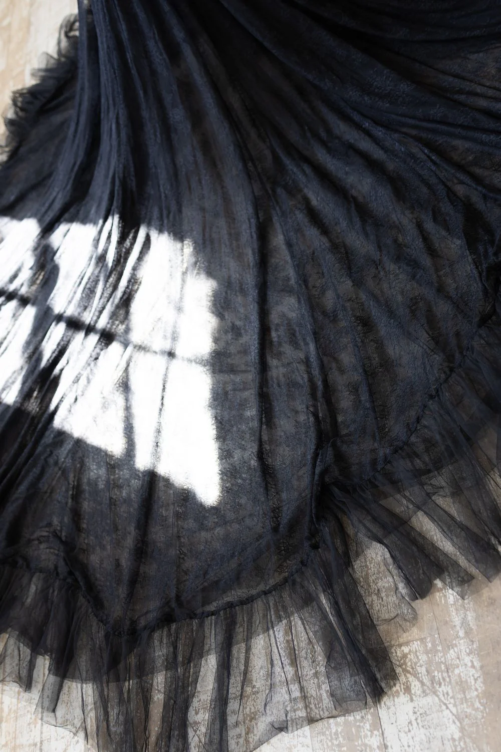 Priscilla - Image 11
