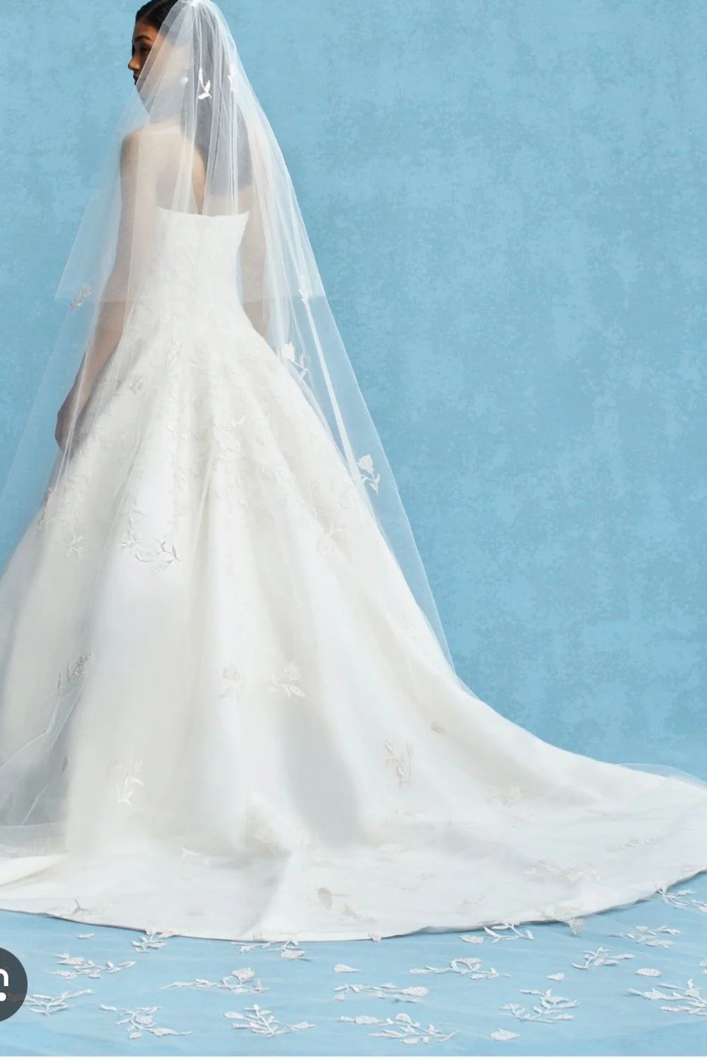 Reign with Veil - Image 2