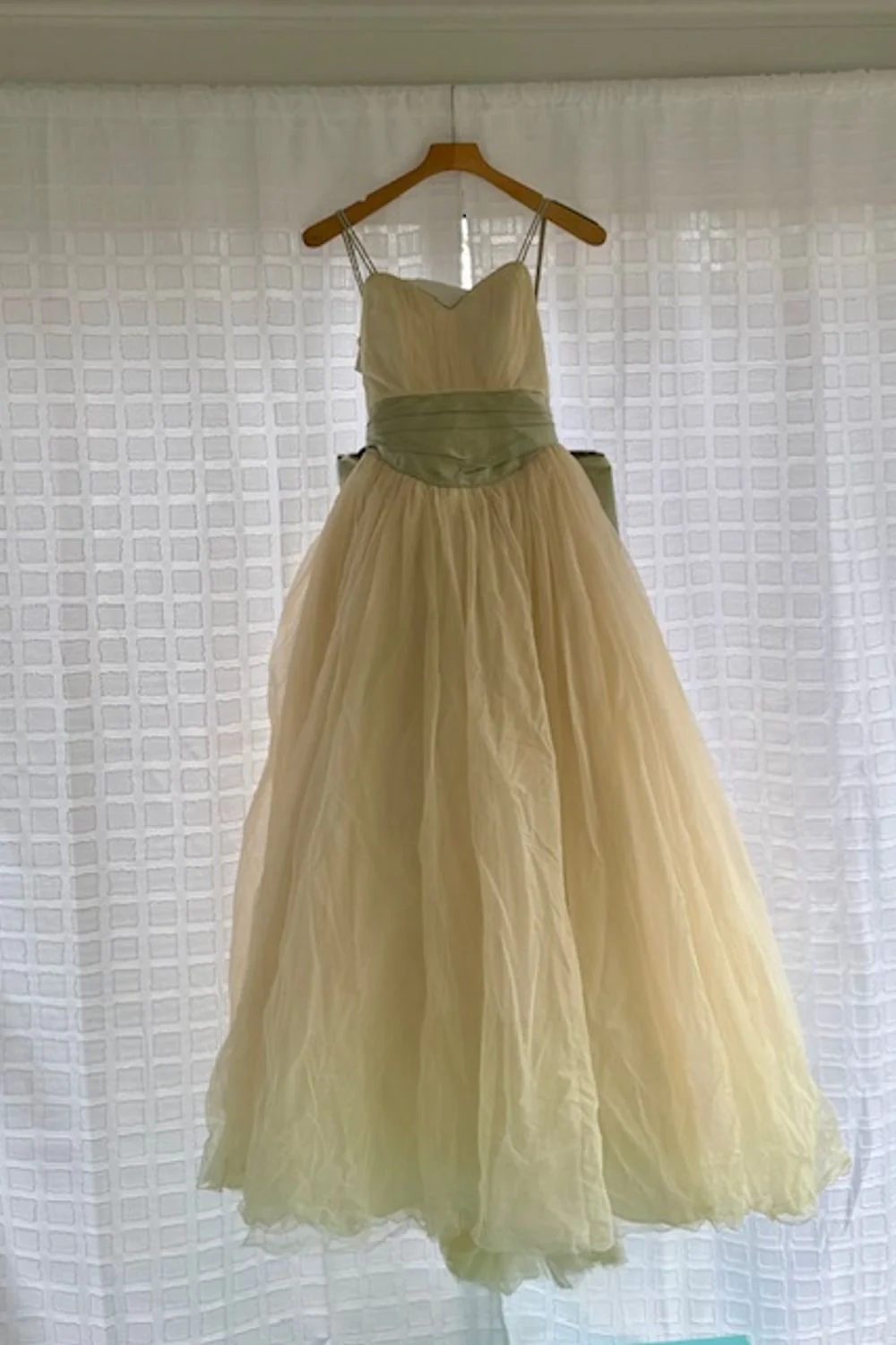 Romantic Blush Tulle W/ Veil and Hair Comb Roses - Image 9
