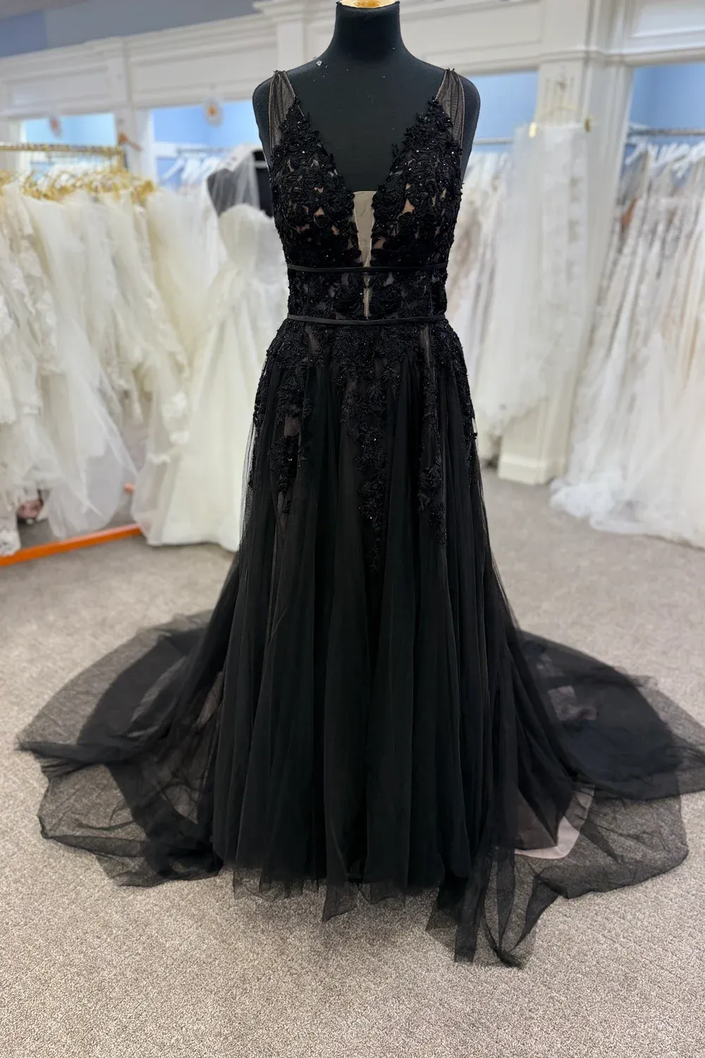 Rosa 5763 - Image 3