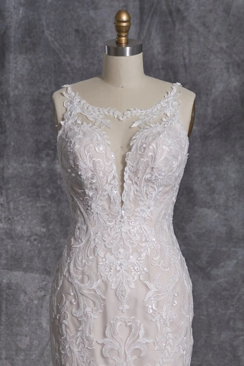 Saige - Image 8