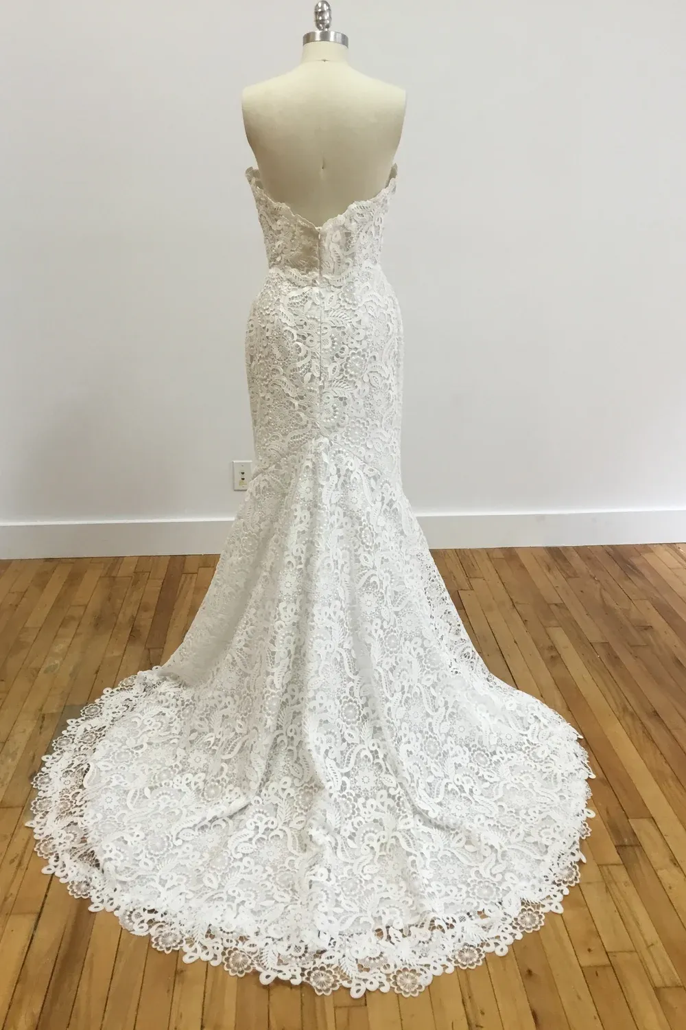 Sophia - Image 3