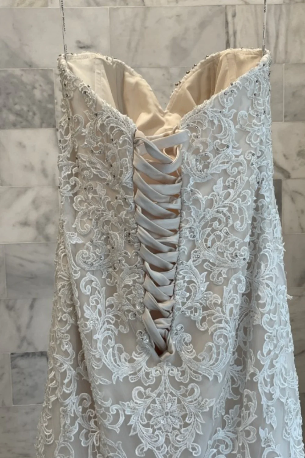 Stella - Image 7