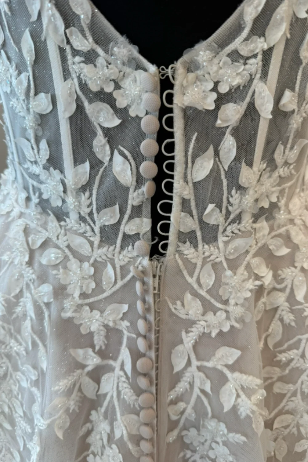 Stella - Image 5