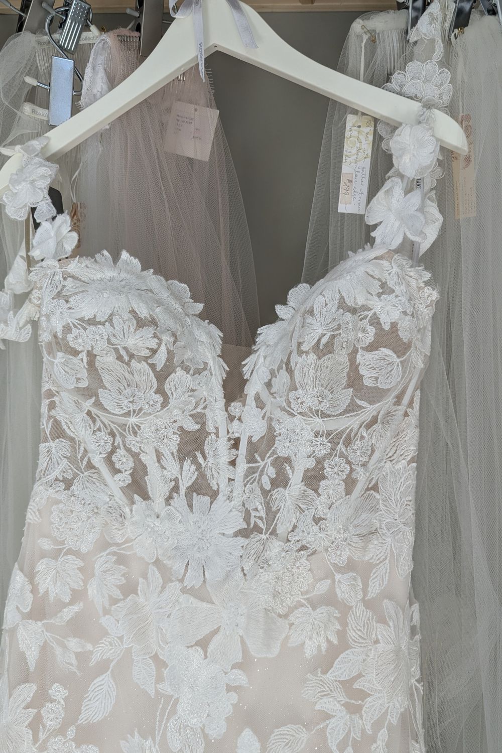 Summer - Image 6