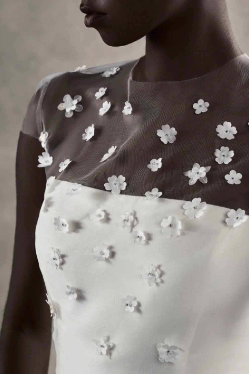 Taken-Bolero - Image 2
