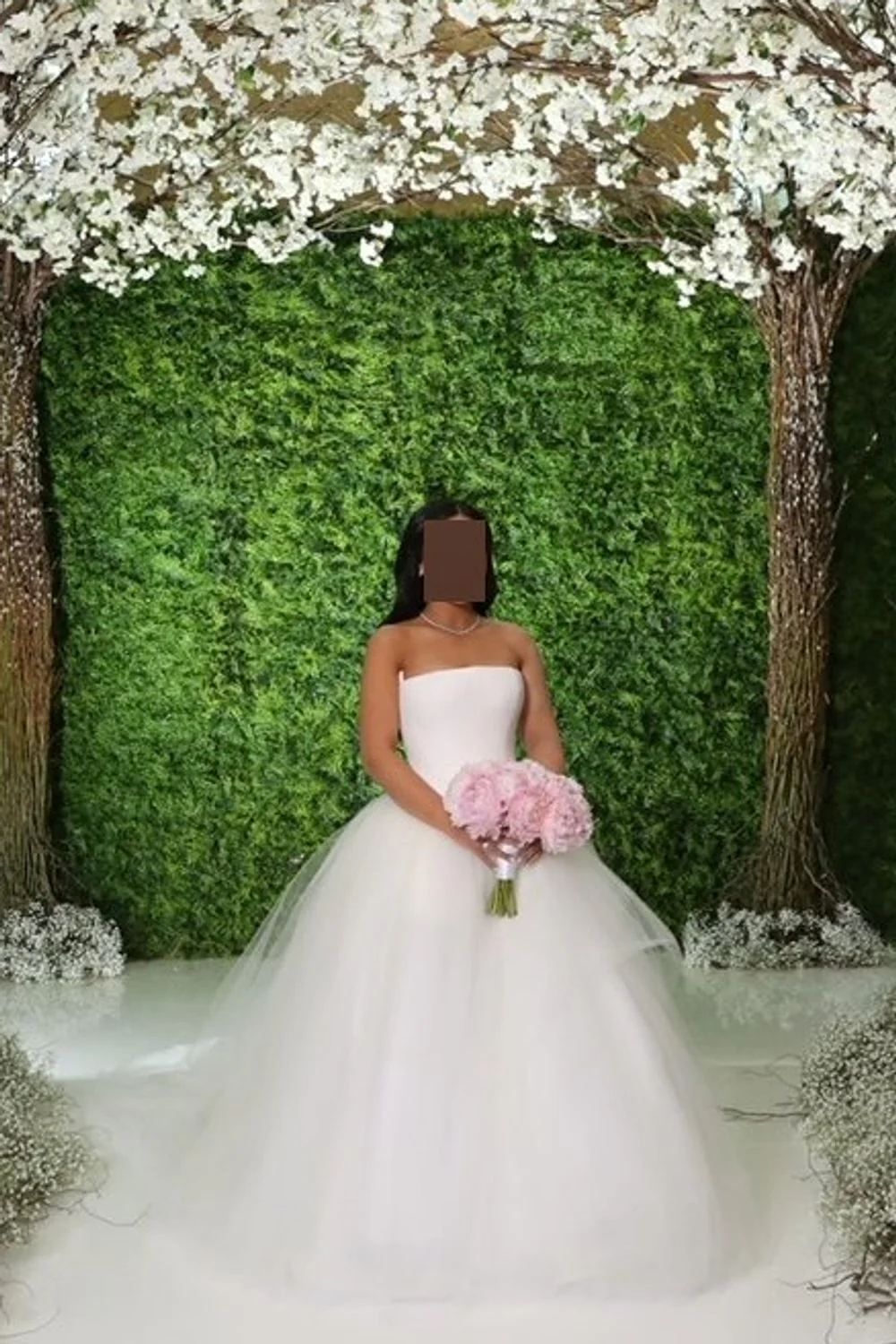 Vera - Image 3