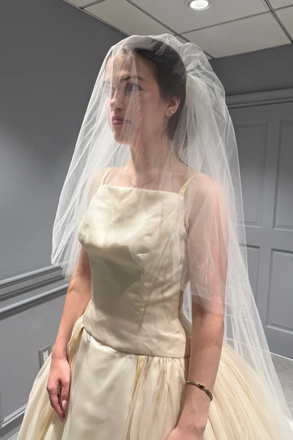 Vera Wang Dress with Veil - Image 6