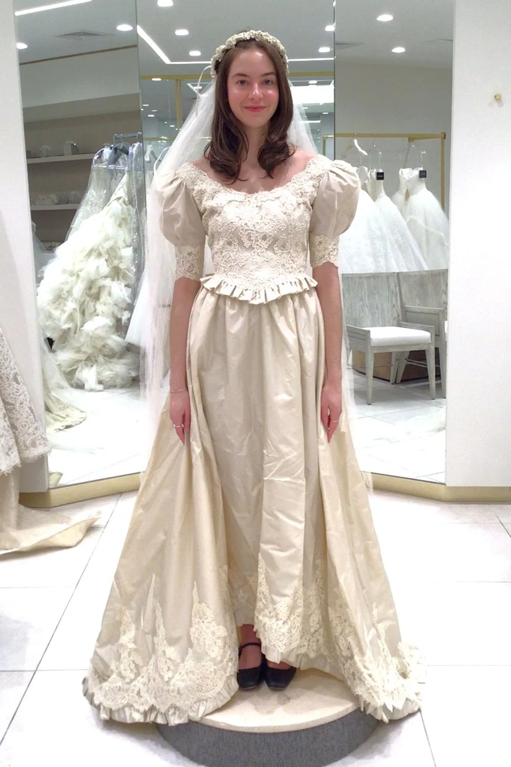 Vintage Ballgown Dress with Veil