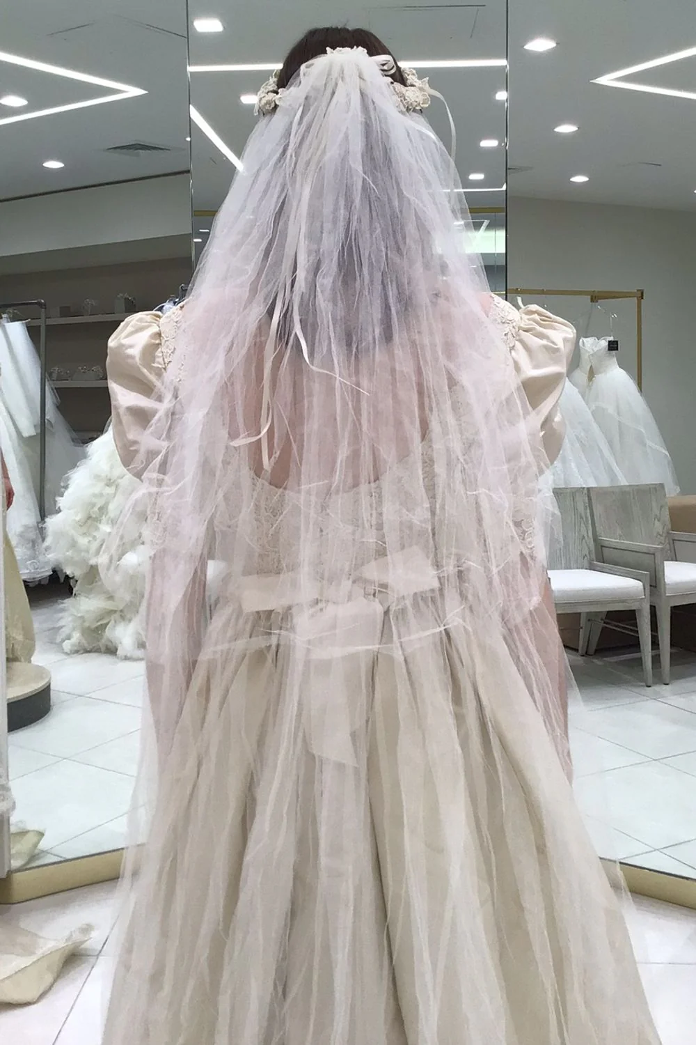 Vintage Ballgown Dress with Veil - Image 7